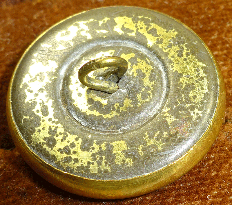 nmop218-v2-back.gif