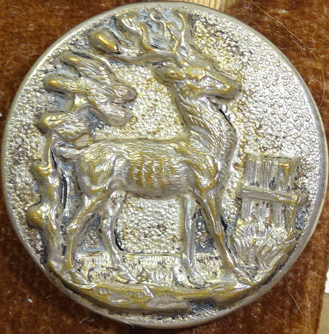 npc893-stag.gif