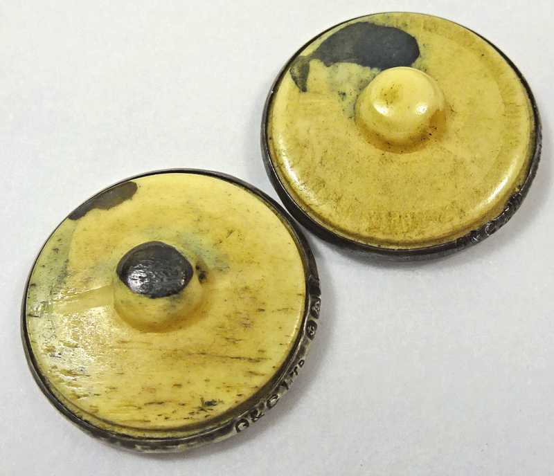 nsil272B-stained-backs.gif