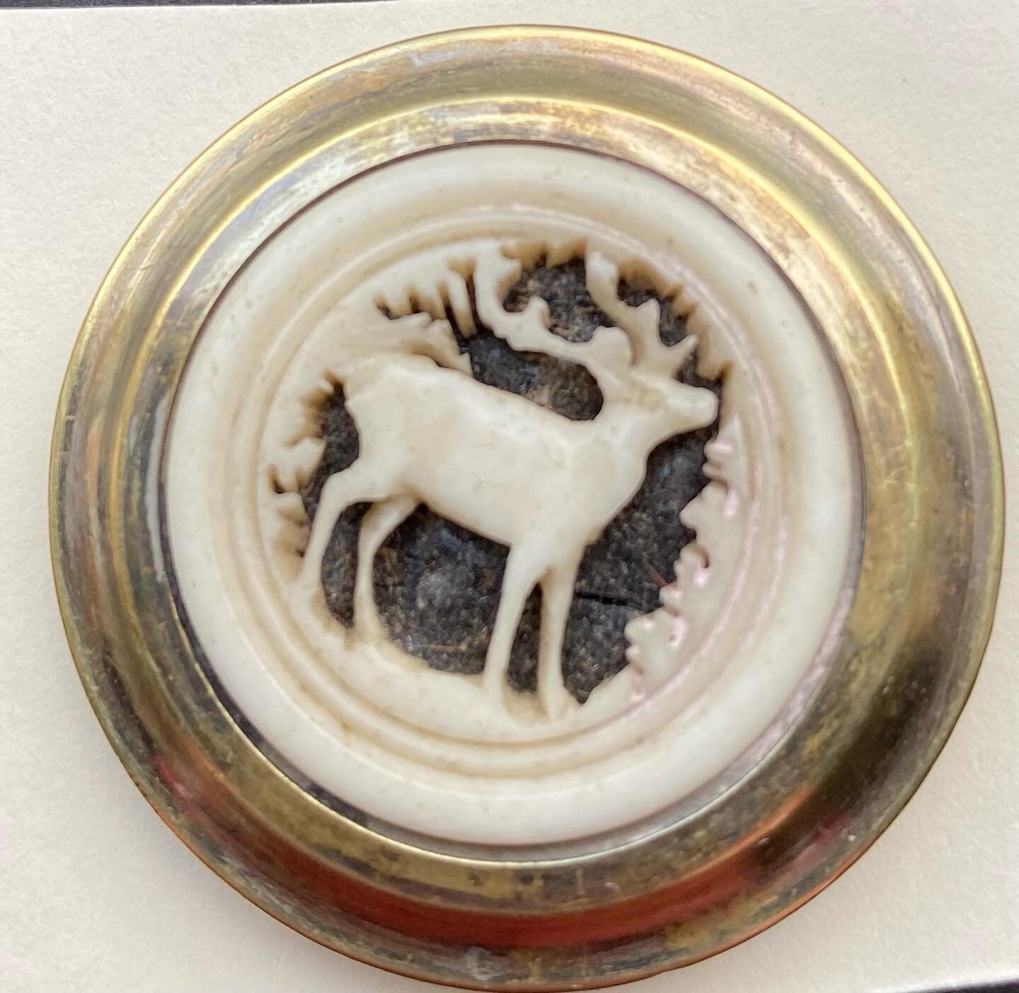 Large Carved bone stag button just added to website #antiquebuttons  #carvedbonebuttons #stagbutton