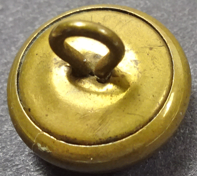 nsc991-v2-back.gif