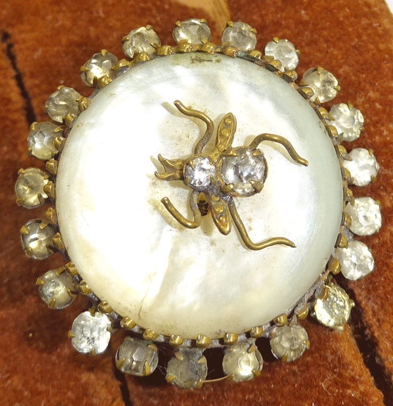 nmof495-spider-on-pearl.gif