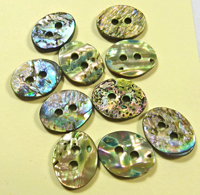 Set of 10 small oval shell buttons
