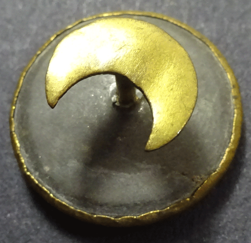 nn365-v2-back.gif