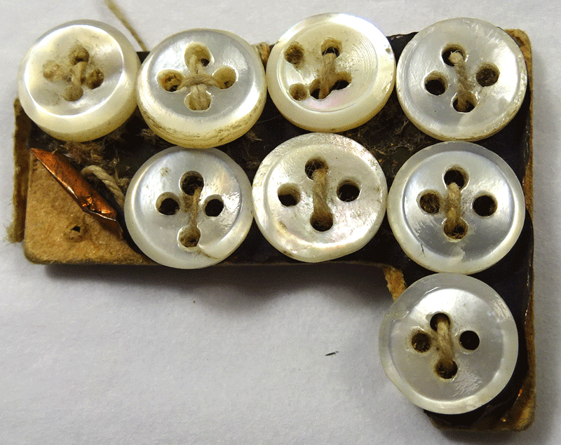 Set of 8 tiny pearl buttons