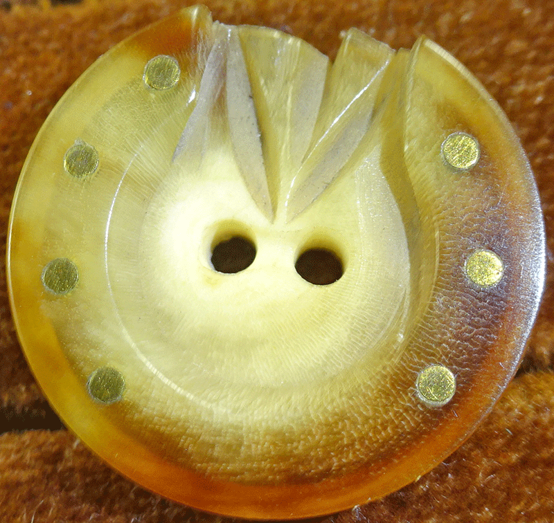Horn horse shoe