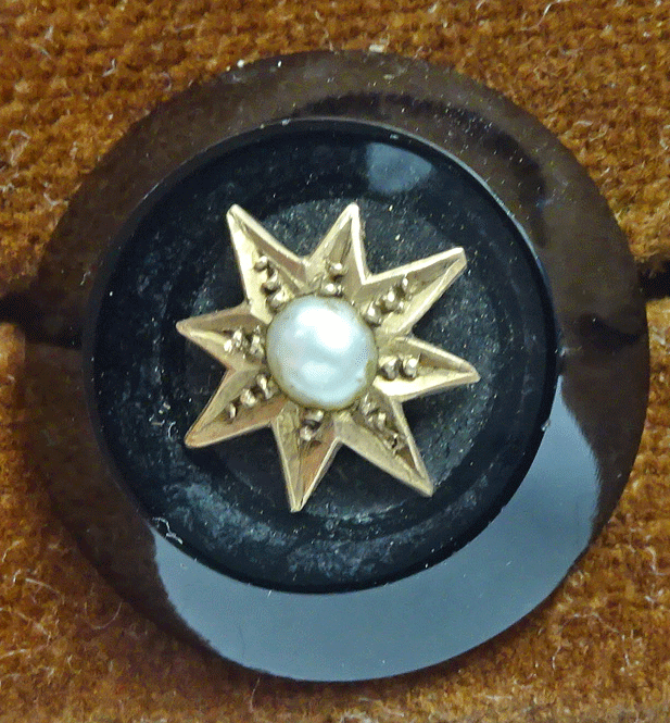 nbg337-bg-with-gold-star.gif
