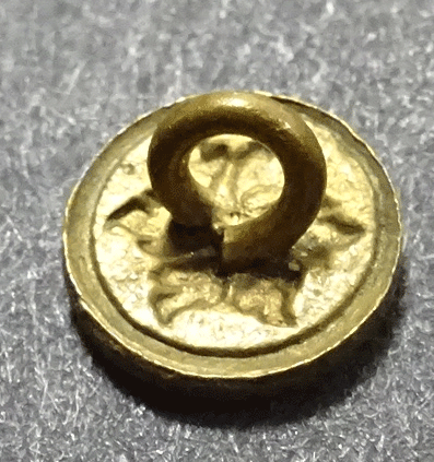 nsc877-v2-back.gif
