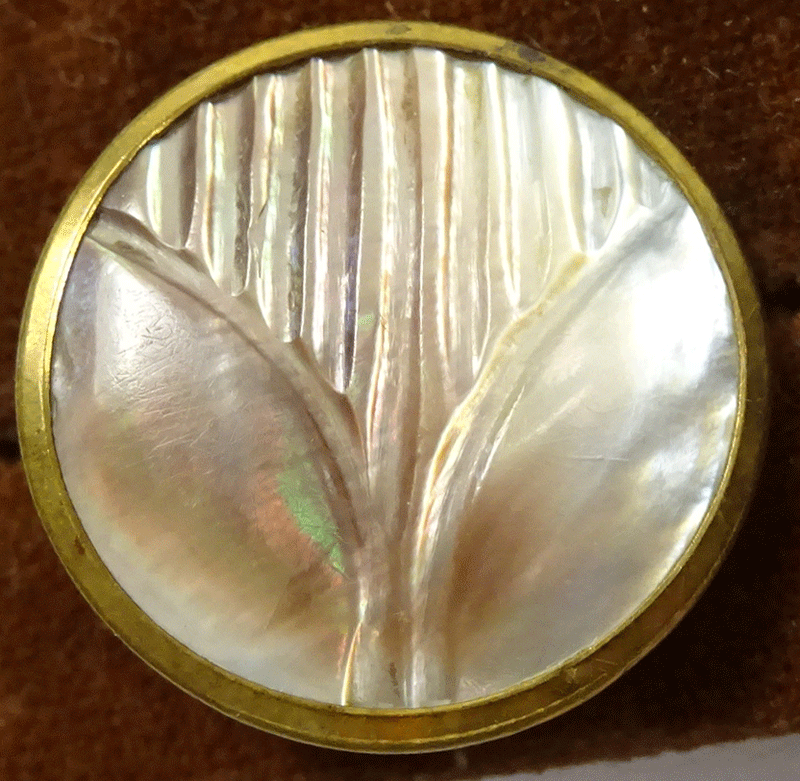 nmop218-carved-pearl-in-gilt-rim.gif