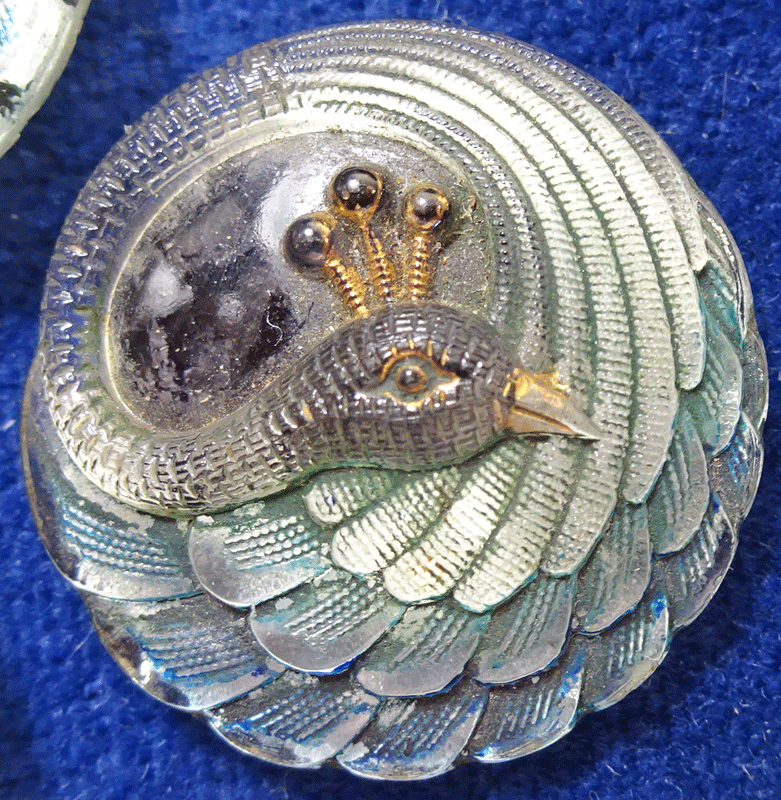 Lacey glass peacock