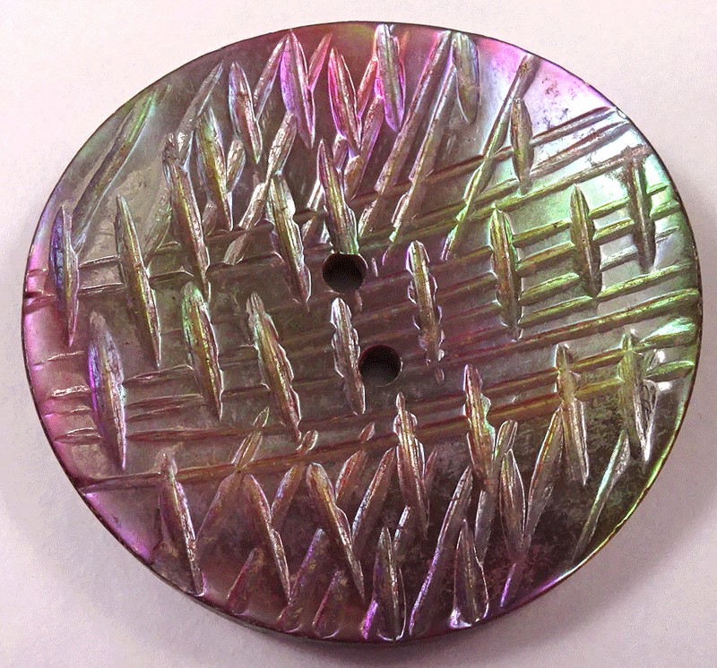 nmop299-large-iridescent.gif