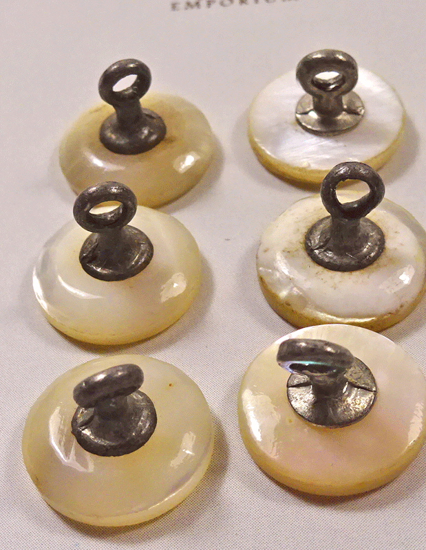 nmop303-v3-backs.gif