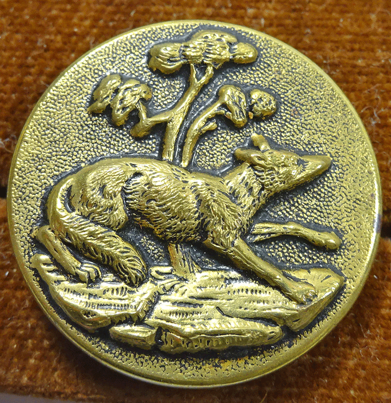 Fox and tree, Paris back