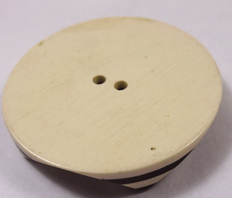 nsy487-v2-back.gif
