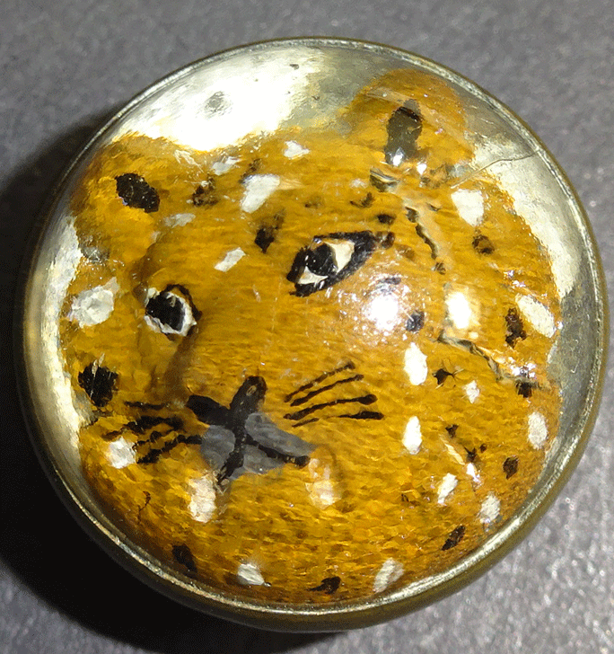 Wests Patent, cat under glass dome