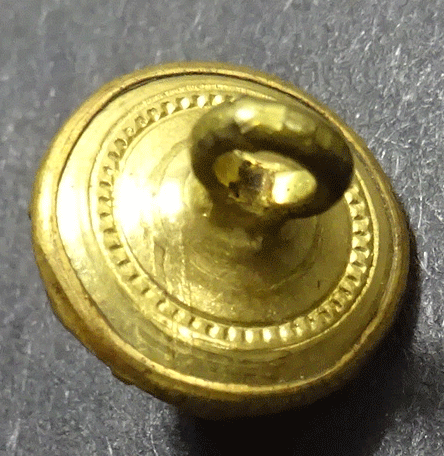 nsc691-v2-back.gif