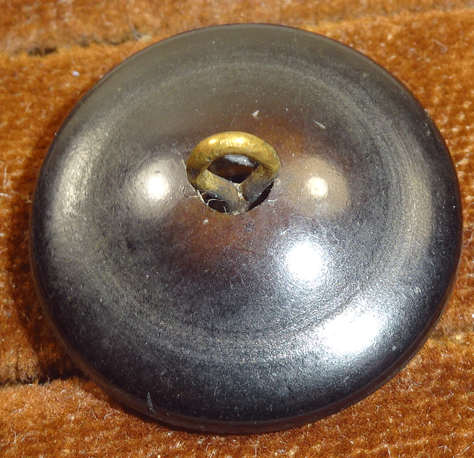 nmop309-v2-back.gif