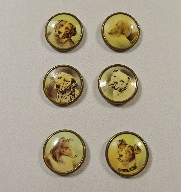 Set of 6 waistcoat buttons, lithographs of dogs