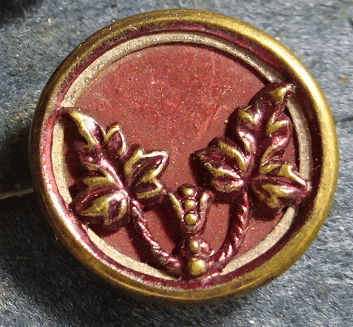 nsc658-red-dyed-leaves.gif