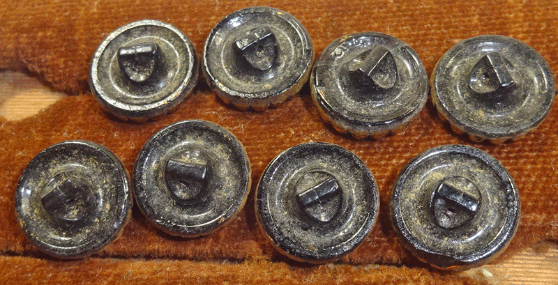 nbgs278-v3-backs.gif