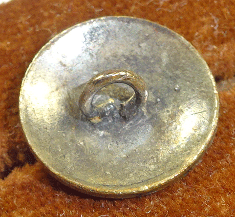 nsc955-v2-back.gif