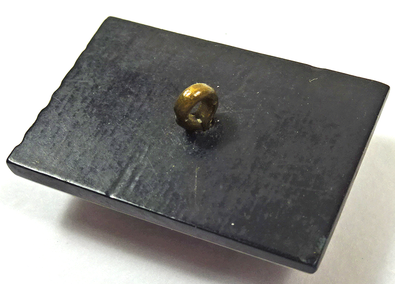 nsy495-v2-back.gif
