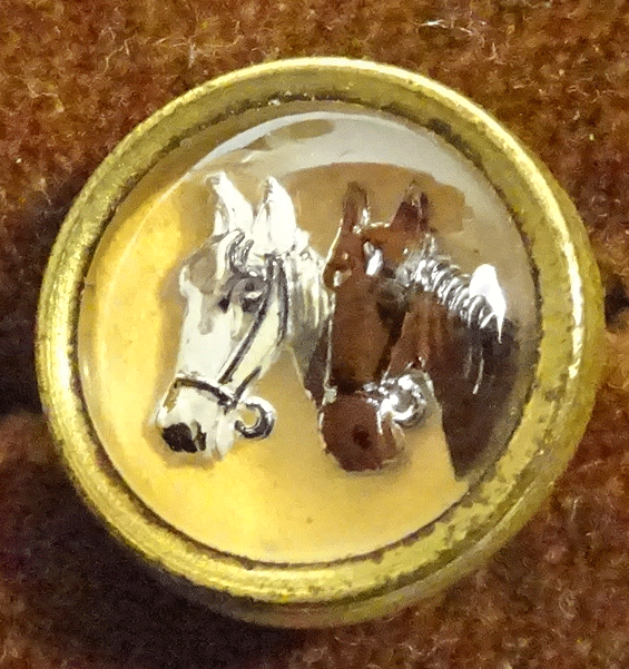 Two horses' heads under glass