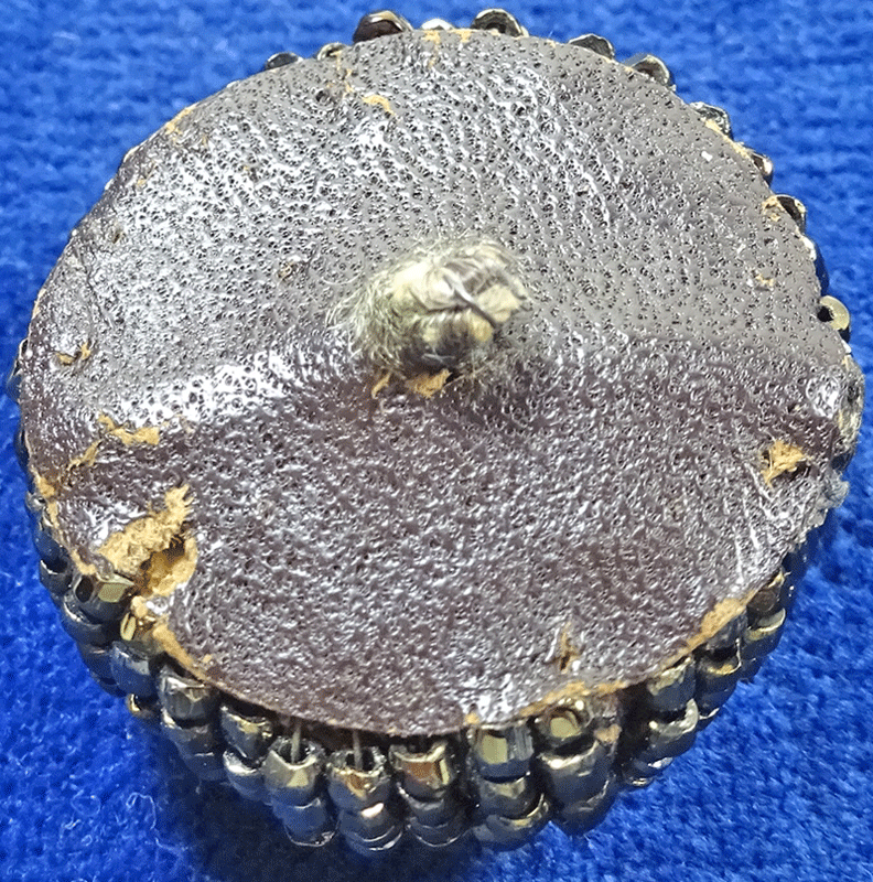 np166-v2-back.gif