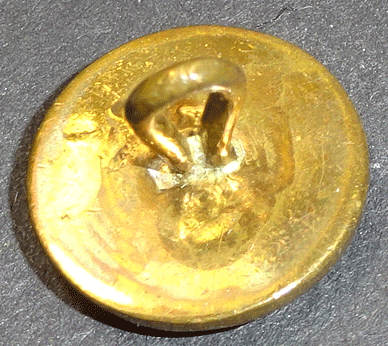 nsc910-v2-back-better.gif