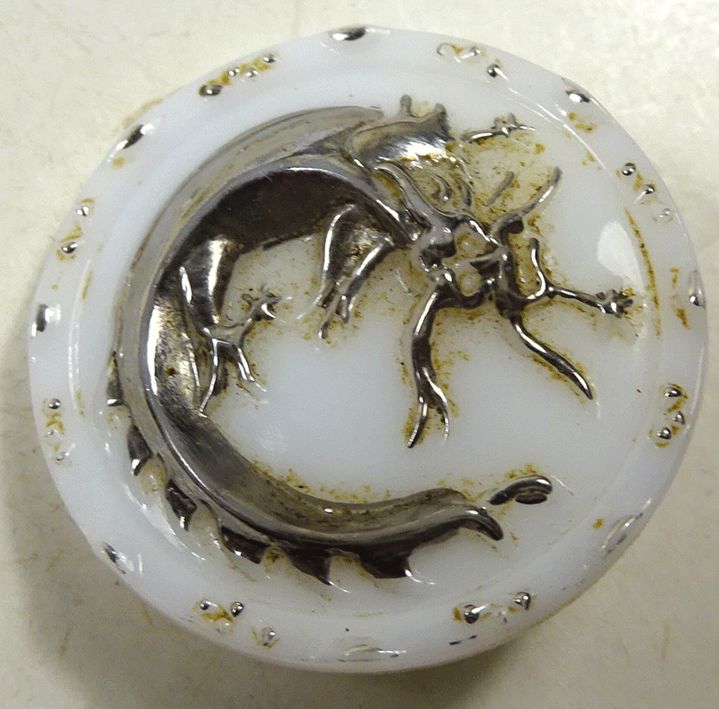 ng377-silver-scorpion-on-whie-glass.gif