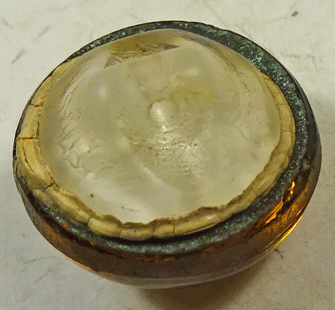 ncg291-v2-back.gif