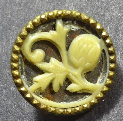 Small ivoroid strawberry