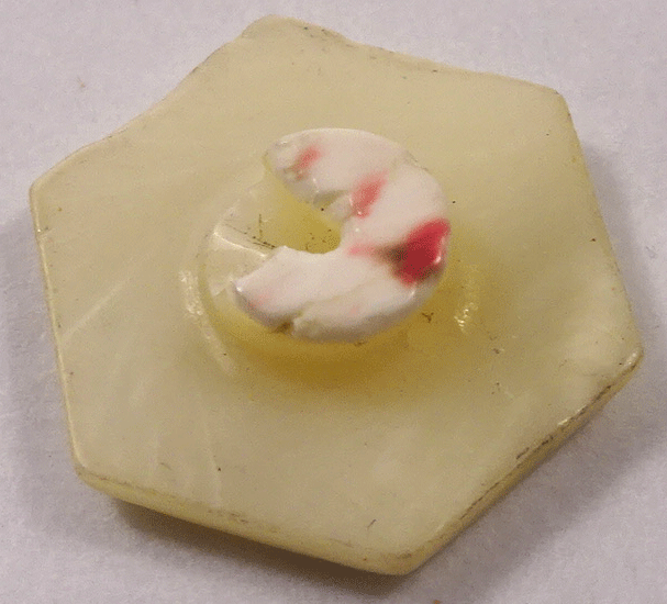 nmof493-v2-back.gif