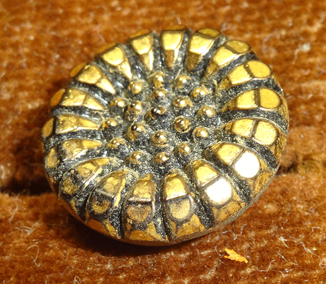 nbgs278-v2-closeup.gif