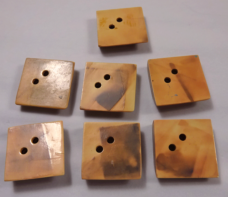 nsy481-v3-backs.gif