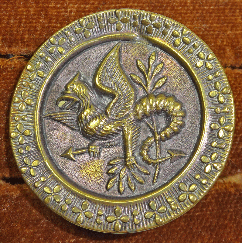 Large arrow-tailed dragon