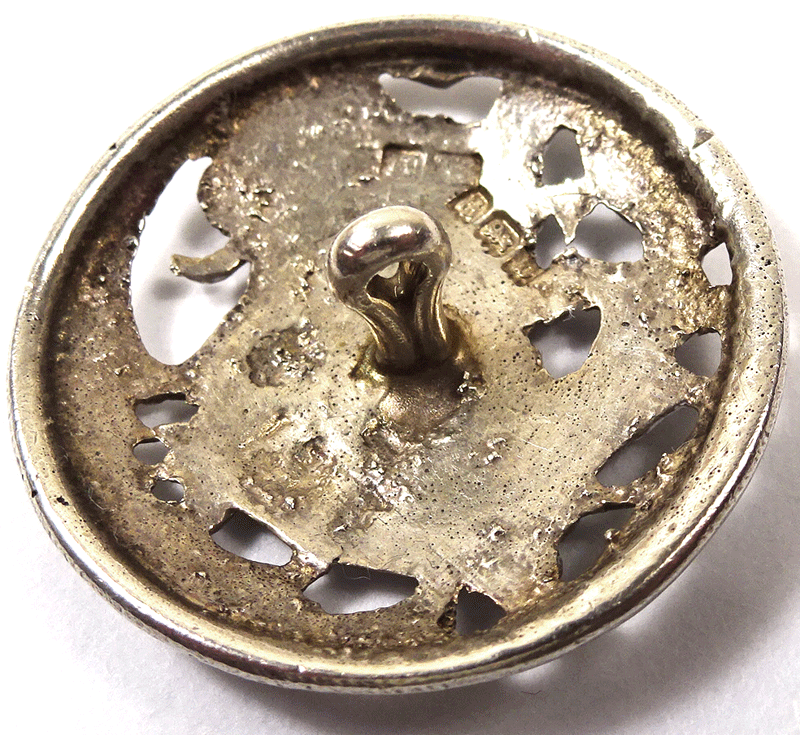 nsil261-v2-back.gif