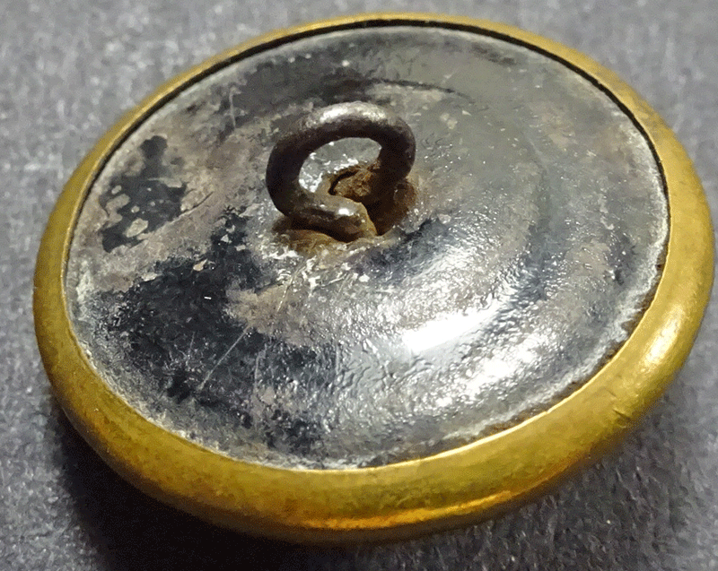 nmpf491-v2-back.gif