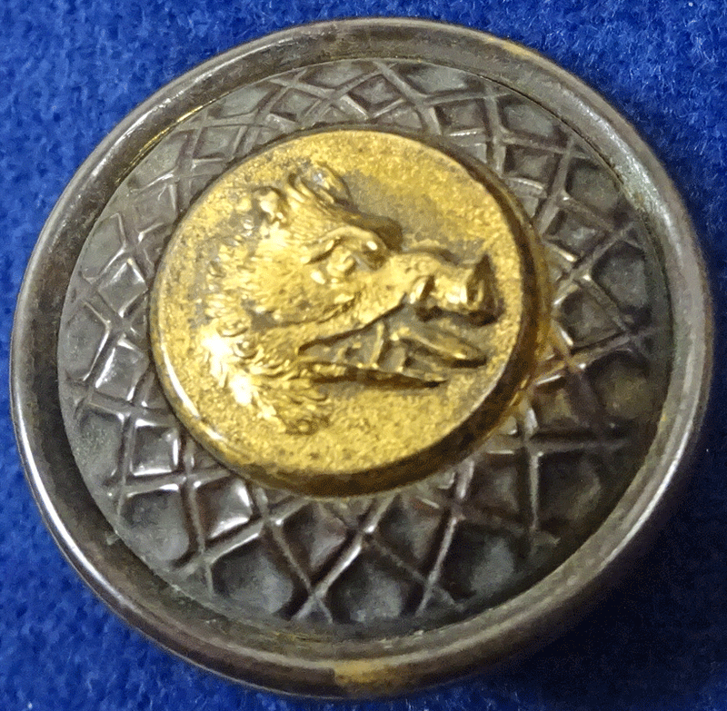 Wild boar's head in contrasting rim