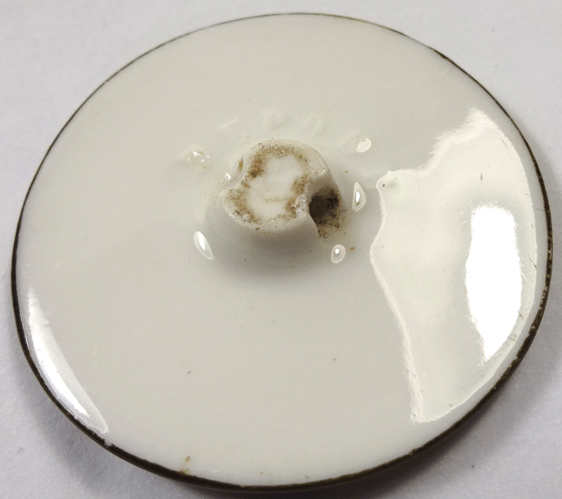 nch226-v2-back.gif