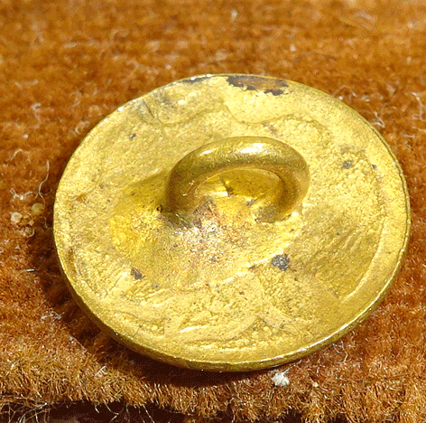 nsc895-v2-back.gif