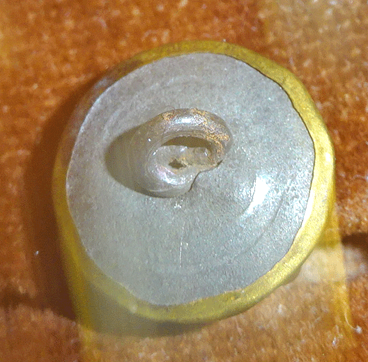 nsc648-v2-back.gif
