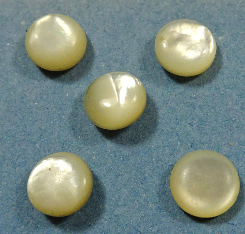 Set of 5 small baby mother of pearl