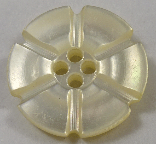 Small mother of pearl flower