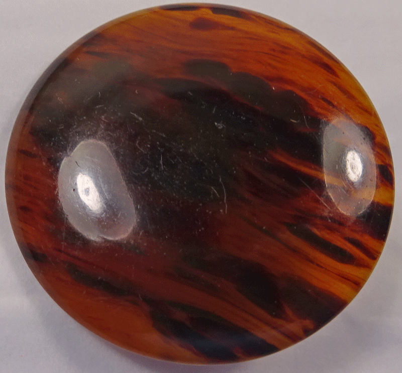 nsy417-large-faux-tortoiseshell.gif