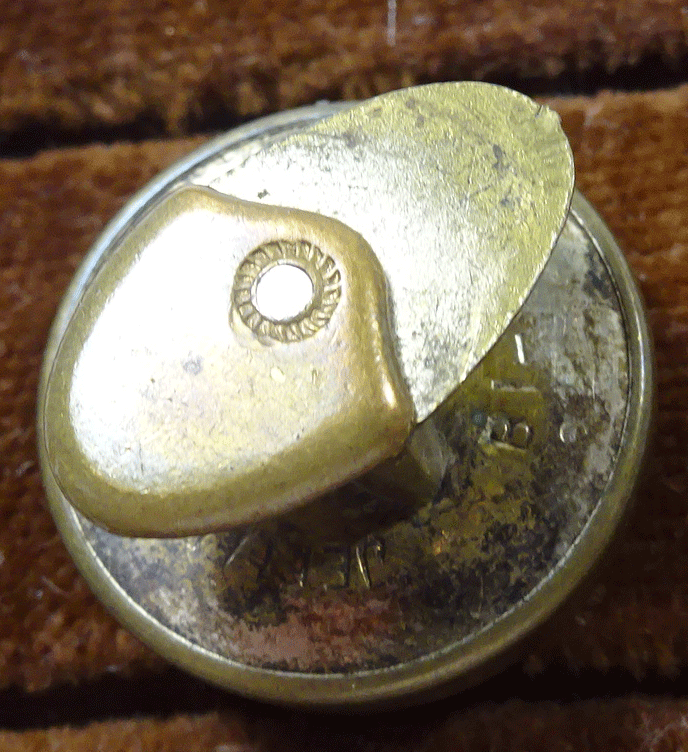 nn371-v3-back.gif