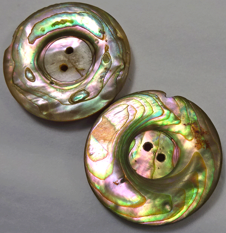 Pair of iridescent Pauai shell buttons (chipped)
