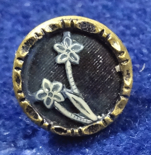 Austrian tiny - ivoroid flower on blue