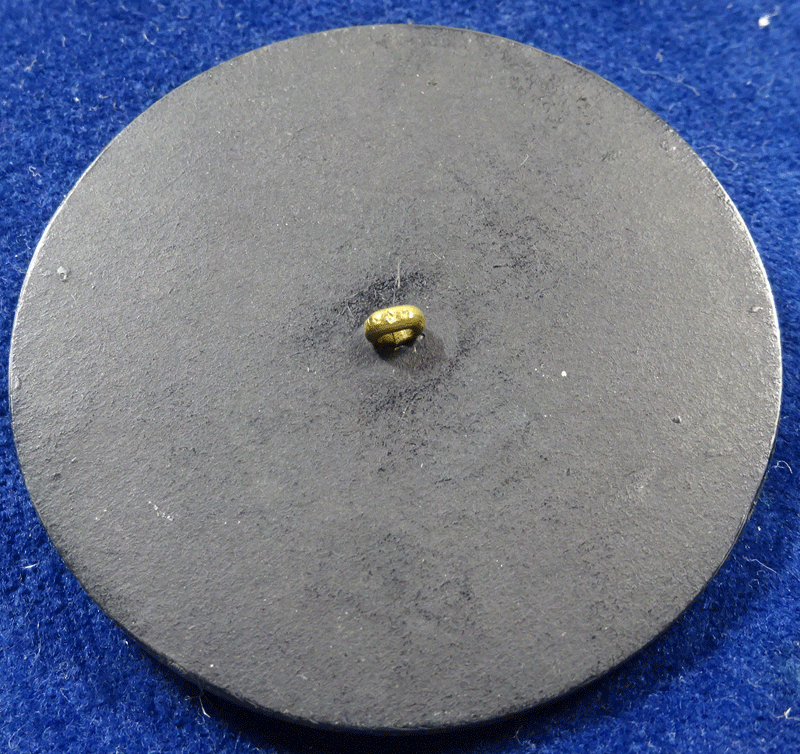 nsy506-v2-back.gif