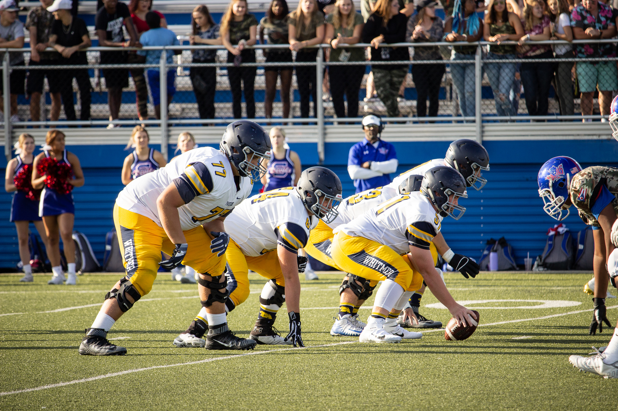 About — Whitmer Panthers Football